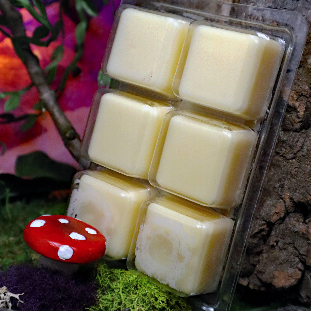 Familiar Fairy Tales Collection Hand Poured Mega Melts Soy Melts