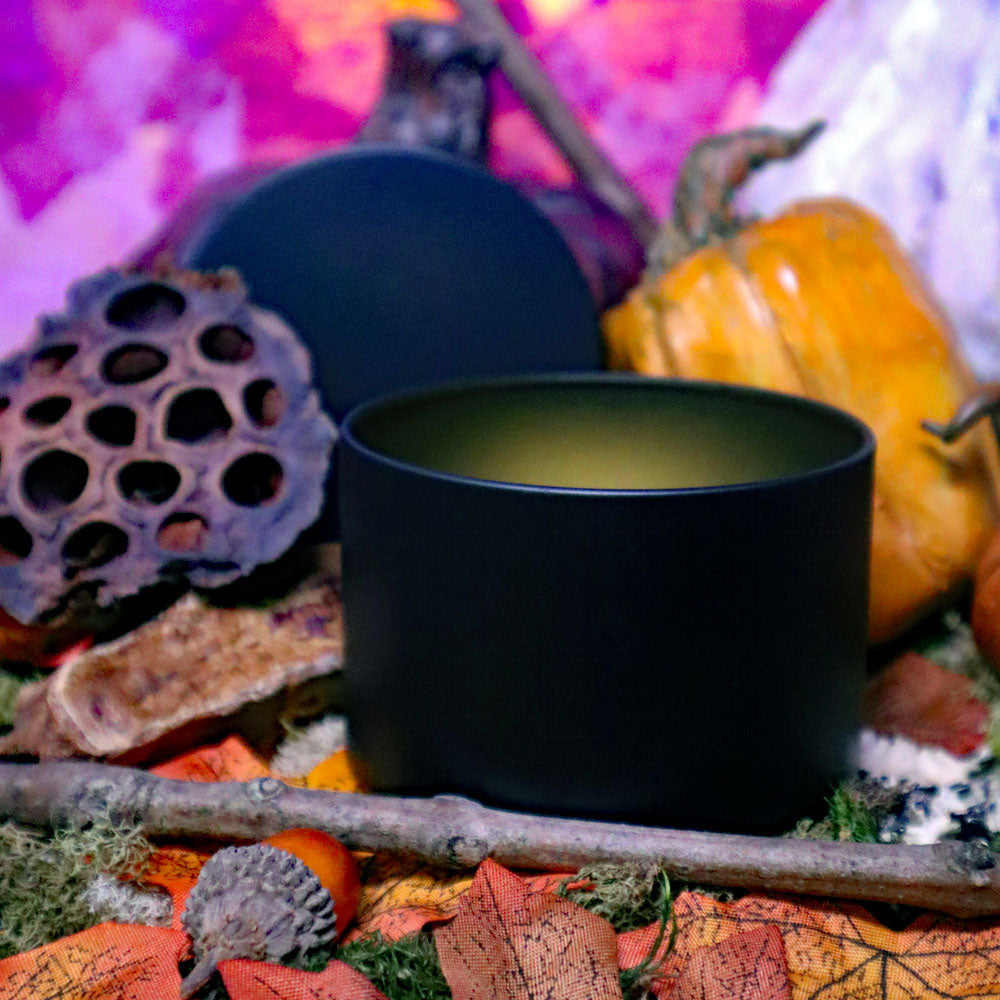 Falloween Collection Hand Poured Soy Candles Medium