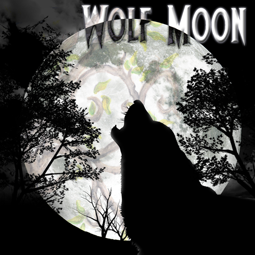 Wolf Moon Aromatic Elixir – Dreaming Tree Workshop