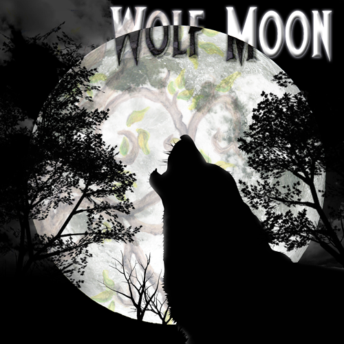 Wolf Moon Aromatic Elixir